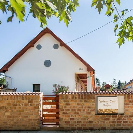 Bakony-Cinca Vendeghaz Hotel Szentgál Eksteriør billede